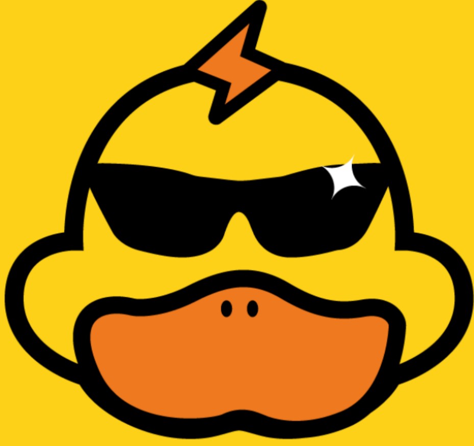 怏鸭vp加速器官网